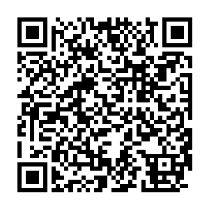却也累积了好多的问题……不知道是不是能够从夏首领那取得答案二维码生成