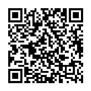 却也绝不敢在这样两位恐怖的炼虚后期修士面前乱来二维码生成