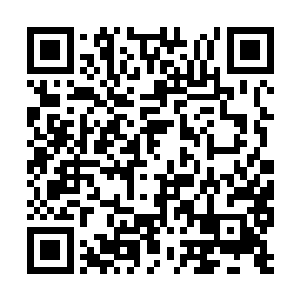 却保你周围的任何敌军活动会都第一时间通知到你二维码生成