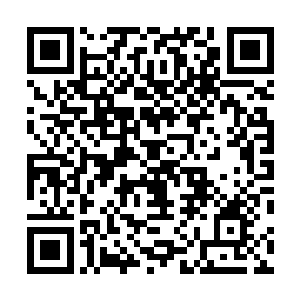 却几乎完全用传统电子技术构造出来的灵气波动屏蔽能力二维码生成