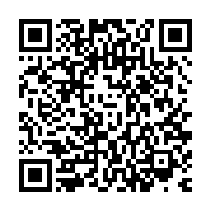 却凭借着将爱情进行到底一举拿到了电视剧类的最佳新人导演二维码生成