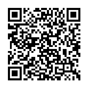 却又坚信镇元子会保护他们的参会者也皆是一愣二维码生成