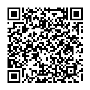 却又有一个黑衣人趁着楚旬因为剧痛而微微一愣的瞬间冲到了楚旬的身边二维码生成