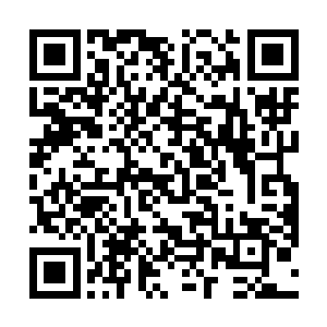 却可以按你的要求制造出一些简易的模型道具辅助训练二维码生成