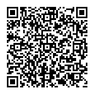 却在此刻　虚空裂开　两尊入道境大能降临　看起來颇为年轻　但却面带杀意　似乎与他不共戴天二维码生成