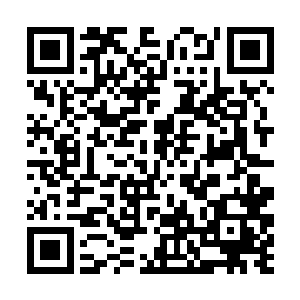 却已经有了好几个省级电视台大型晚会表演的经验了二维码生成