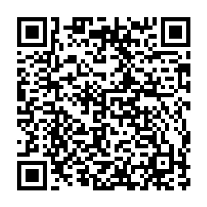 却把一只小小的幼生期没什么用处的妖兽说的那么金贵来当作礼物二维码生成