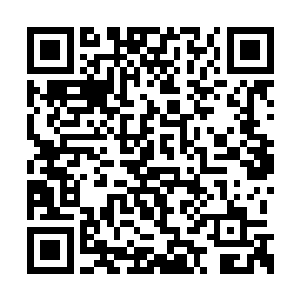 却无法将这一瞬间的美好用最好的角度记录下来二维码生成