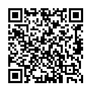 却是为了掩饰他进行大清洗和吞并十几个世界的真正目的二维码生成