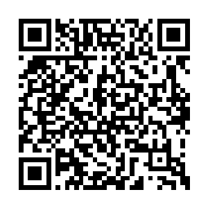 却是会诞生出血多就算是岁月也无法磨灭的东西二维码生成