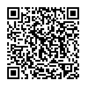 却是完全无效的……除非是有什么特殊的宝物可以屏蔽他的侦查技能二维码生成