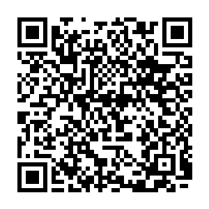 却是对出现在此地的用油脂浸泡过后涂漆的木盒装着的鼻烟壶有深深抵触二维码生成