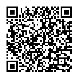 却是当初陈珪屡番却说陈登不要和司马家这种行事有失磊落的世家合作二维码生成