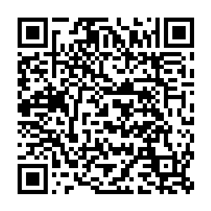 却是忘记了自己被泛东流吸食精血所造成的暗伤已经是不觉之间恢复了二维码生成