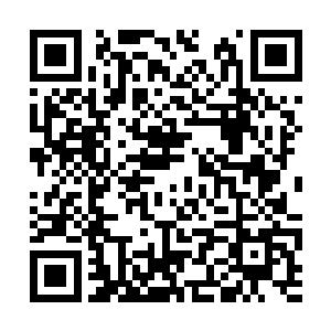 却是没有看到有哪份密卷上面记载过这宫殿的存在二维码生成