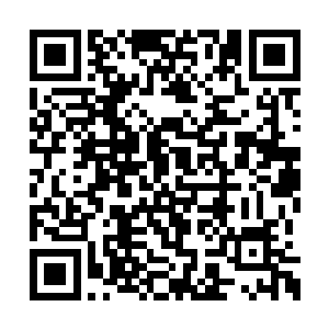 却是神色不变的继续带着无比温和的笑容的问道二维码生成