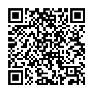 却是觉得自己应该已经没有了再去确认什么的必要了二维码生成