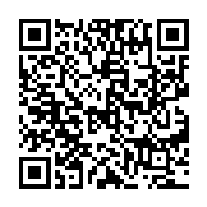 却是足以说明在林放的心里胡珂所占据的位置有多么的重要二维码生成