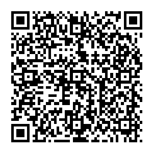 却没想到事实与他们想象的完全不一样的……传说中的龙象菩提金身似乎并没有传言中的那么变态二维码生成