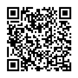 却留在了一个下界位面……没想到今日也有人能继承了二维码生成