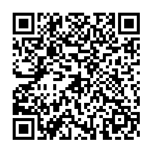 却略过了张潇晗明明炼虚后期修为却有合体中期甚至后期的战斗力二维码生成