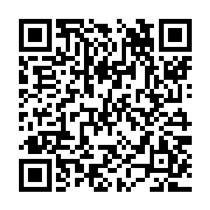 却看到一只餐碟大小的苏卡达陆龟在下方缓缓爬过二维码生成