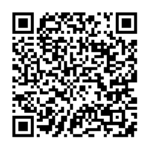 却看到了黑暗和血腥······一个又一个无辜的生命倒在了你们自己人的枪口下二维码生成