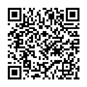 却着蒋钦不加防备的时候一把抢走了那几张画纸二维码生成