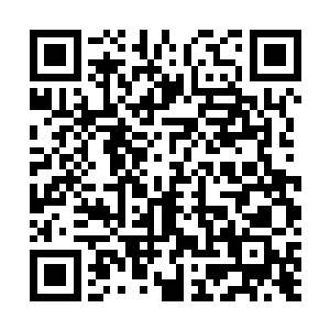 却见一根根犹如闪电一般的飞矢不断地在马身边掠过而去二维码生成