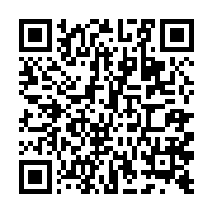 却让的在场所有人都有着一种不可思议的眼神看着他二维码生成