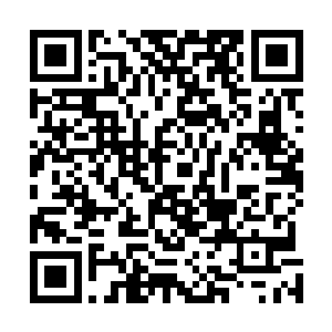 却跨越星球如此远的距离来到这里莫非也是去参加试炼的二维码生成