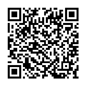 却还是一本正经的给他们介绍起了这副画的名贵二维码生成