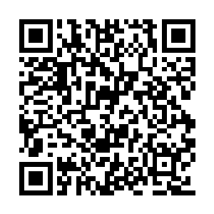厄迪尼看到的是一颗散发着淡淡银芒的金属球体二维码生成