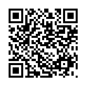 压根看不清各路宫主和殿主是长什么样的二维码生成