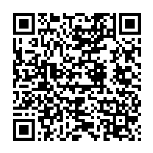 原主居民离开时很多人都说曾经见过无数机甲蓦然出现又离奇消失二维码生成