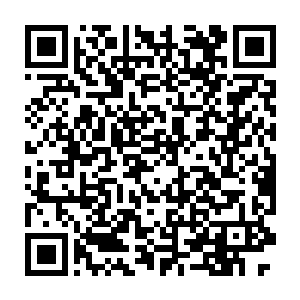 原以为安齐远是想要使什么鬼主意装晕好找借口留在苏府里探听消息二维码生成