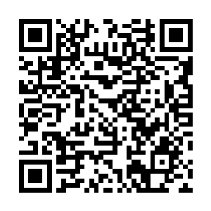 原先对龙腾王朝派区区一个世子出使的不满已经荡然无存二维码生成