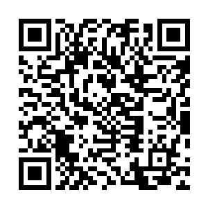 原可是在百族时代战力仅次于日月星三族族长的强大修士二维码生成