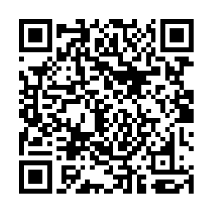 原因是世家联盟的盟主萧雪浪和散仙盟的盟主文青下令二维码生成