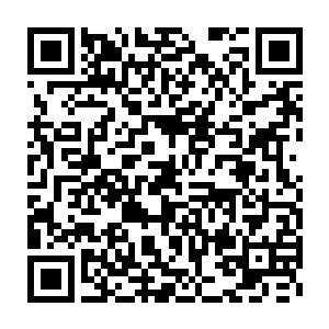 原战当然知道严默不是为了赶紧回屋暖和才让他不用掩藏真正实力二维码生成