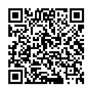 原本他们可是拉了洪大力一万两千多的增援点数二维码生成