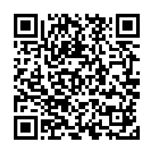 原本他们已经不敢再自作主张・应该将此事立刻汇报给王者二维码生成
