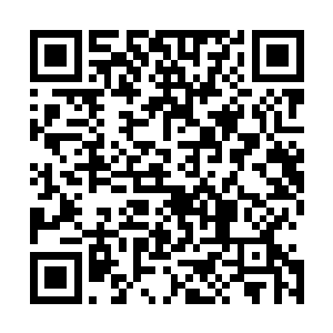 原本以梅画屏个人之力根本无法凝实的山岳竟然幻化出实态二维码生成