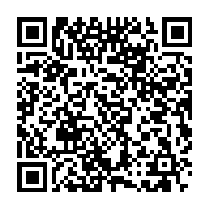 原本在岛国的川中半夏医生为什么会忽然也成了绑匪手中的肉票呢二维码生成