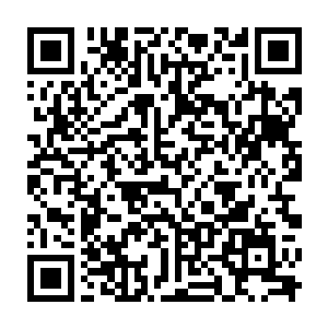 原本在御书房中接到王贵在家中被刺身亡正大发雷霆之怒的正德却是猛的愣住了二维码生成