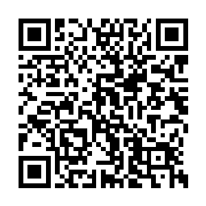 原本坐在地上一动不动的黑岩鼻子微微动了一下二维码生成