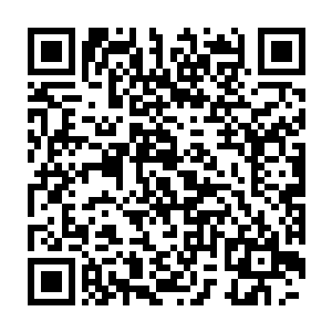 原本如同待宰的羔羊的一般的龙傲天瞬间变成了一尊恐怖的绝世凶兽二维码生成