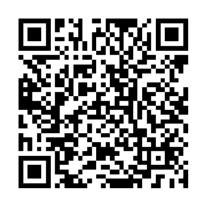 原本对这冒出来打断了自己偷溜大计的两人满怀的怨忿二维码生成