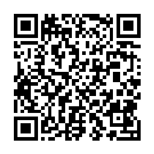 原本就好奇的一直注目着的众宠不约而同的倒吸了一口气二维码生成