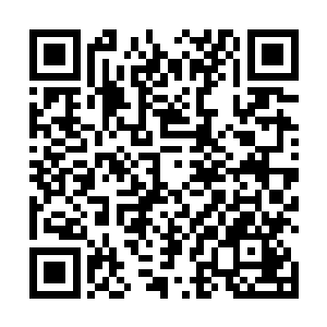 原本就已经将不动明王剑式和千丝垂柳剑式的精髓掌握二维码生成